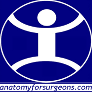 Anatomy for Surgeons
